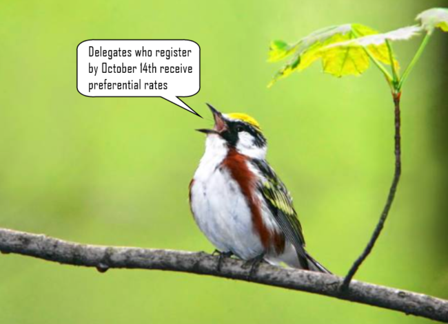 Early Bird with text 2024